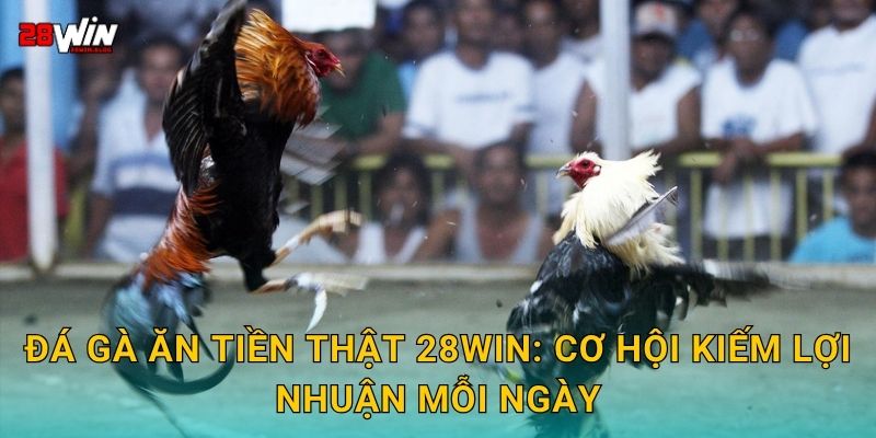 Đá gà ăn tiền thật 28win: Cơ hội kiếm lợi nhuận mỗi ngày