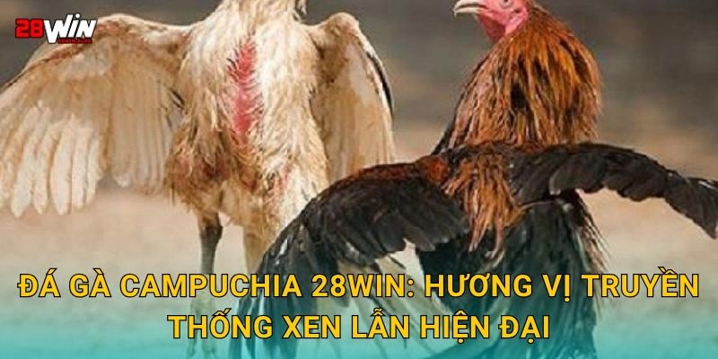 Đá gà Campuchia 28win: Hương vị truyền thống xen lẫn hiện đại