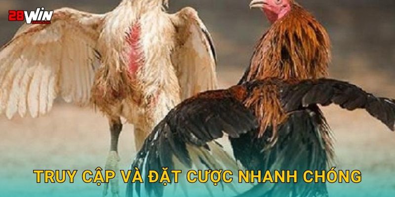 Truy cập và đặt cược nhanh chóng