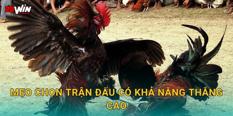 Mẹo chọn trận đấu có khả năng thắng cao