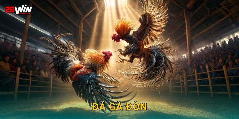 Đá gà đòn bền bỉ – Trận chiến sức mạnh tại 28win