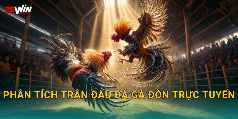 Phân tích trận đấu đá gà đòn trực tuyến