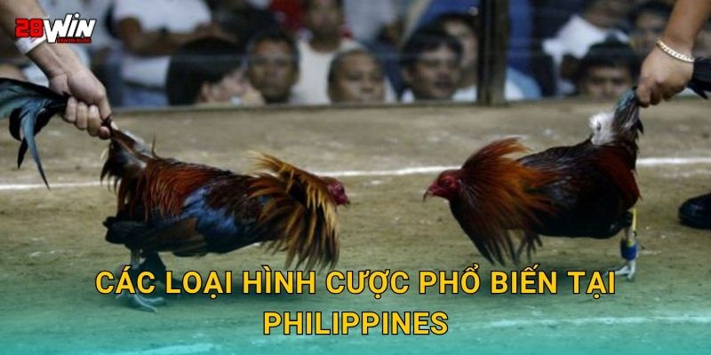 Các loại hình cược phổ biến tại Philippines