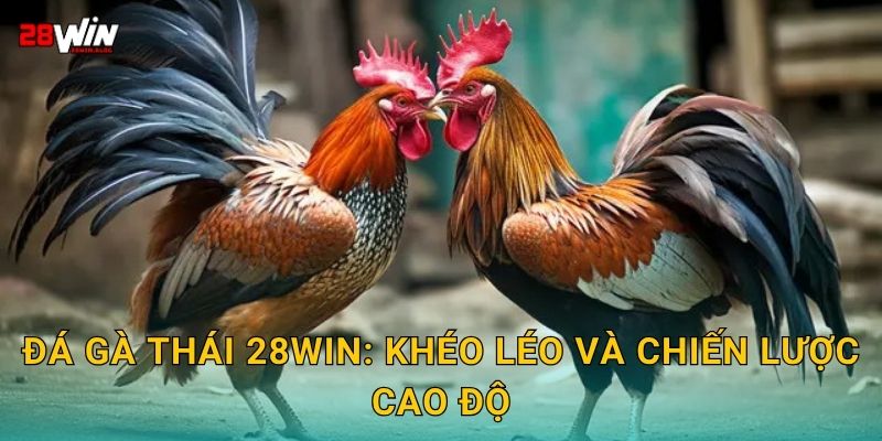 Đá gà Thái 28win: Khéo léo và chiến lược cao độ
