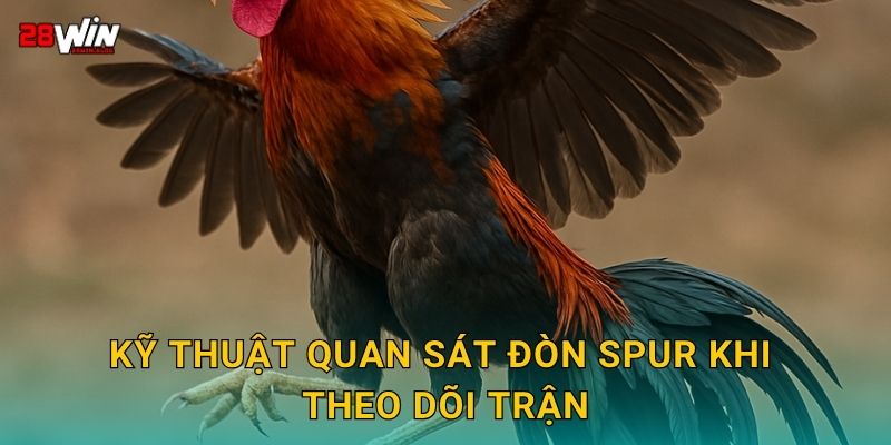 Kỹ thuật quan sát đòn spur khi theo dõi trận