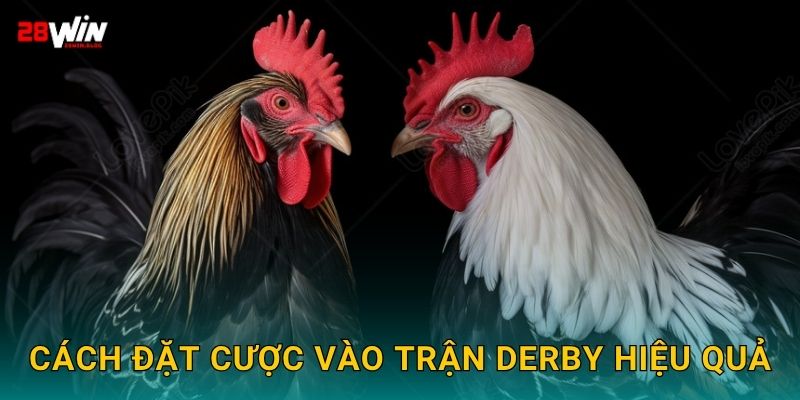 Cách đặt cược vào trận derby hiệu quả